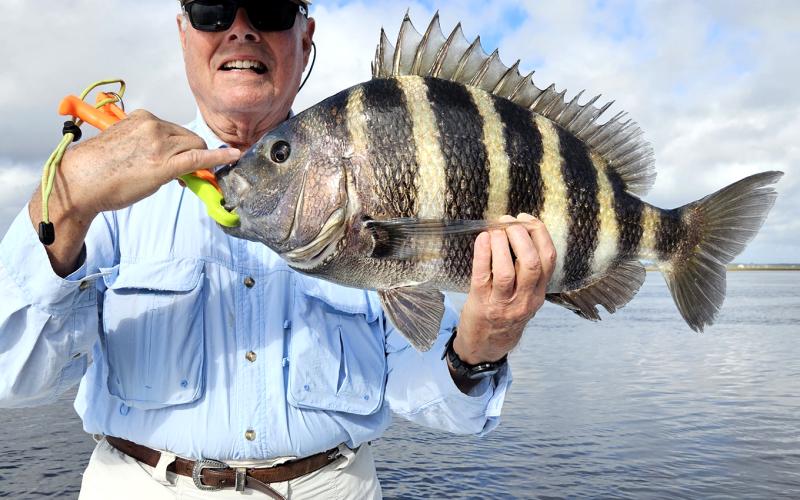 Capt. Allen Mills guided Tom Kien, above left, to this huge 9-pound sheepshead this past week right on the full moon. Photo by Terry Lacoss